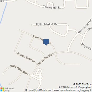 2938 Cone Flower Drive Richmond, TX MLS# 78833440