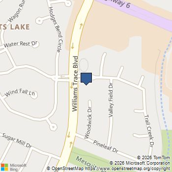 2519 Williams Grant Street Sugar Land, TX MLS# 31421798