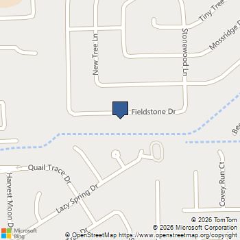 1407 Fieldstone Drive Missouri City, TX MLS# 46254664