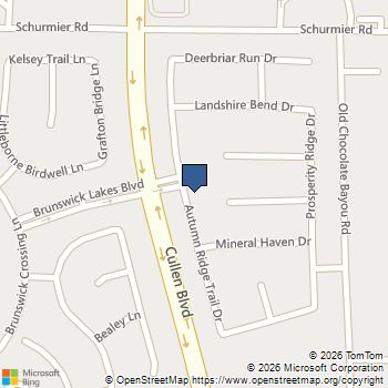 4102 Autumn View Drive Houston, TX MLS# 42637474