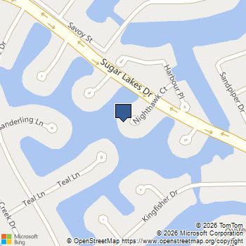 403 Nighthawk Court Sugar Land, TX MLS# 15159631