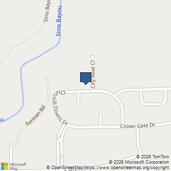 12238 City Rose Court Houston, TX MLS# 95623920