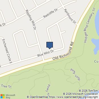 17118 Amber Ridge Drive Sugar Land, TX MLS# 82940222