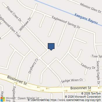 16203 Dryberry Houston, TX MLS# 44558754