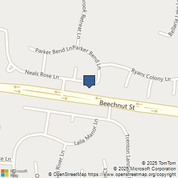 20115 Neals Rose Lane Richmond, TX MLS# 87753286