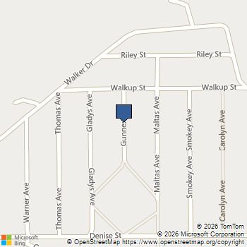 106 Gunner Ave Interlachen, FL MLS# A12086570