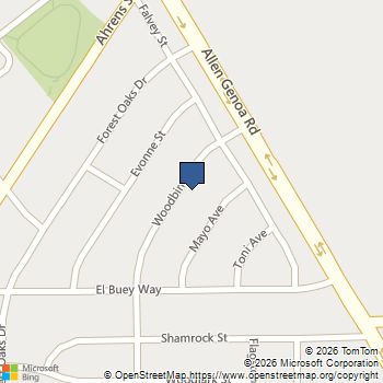 711 Woodbine Street Houston, TX MLS# 39096072