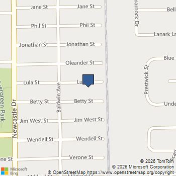 4313 Lula Street Bellaire, TX MLS# 38755968