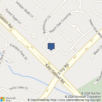 9010 Painted Daisy Lane Katy, TX MLS# 31184078