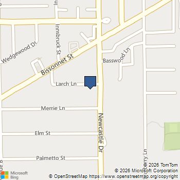 4505 Larch Lane Bellaire, TX MLS# 58448541