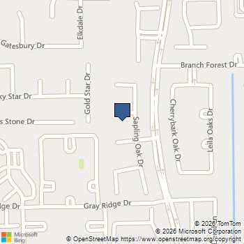 15007 Changing Oak Ridge Court Houston, TX MLS# 61371115