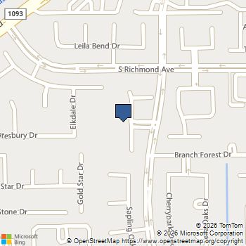 3030 Palace Oaks Drive Houston, TX MLS# 10737073