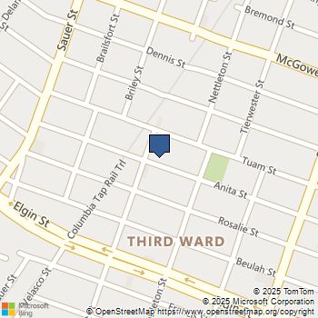 3209 Anita Street Houston, TX MLS# 11293718