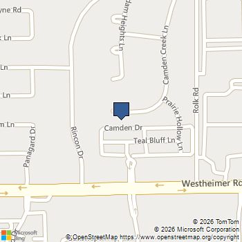 2431 Camden Creek Lane Houston, TX MLS# 14335134