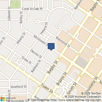 306 Mc Gowen Street 3305 Houston, TX MLS# 69920657