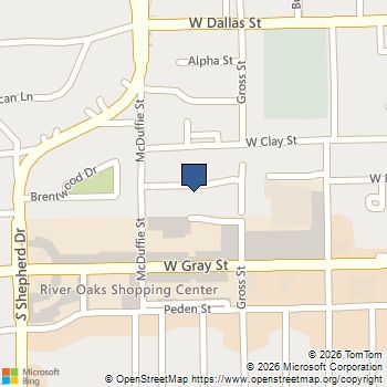 1201 Mcduffie Street 206 Houston, TX MLS# 10273549