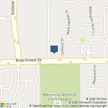 1419 Briar Bayou Drive Houston, TX MLS# 98616306