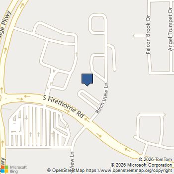 31710 Wild Meadow Drive Fulshear, TX MLS# 10793494