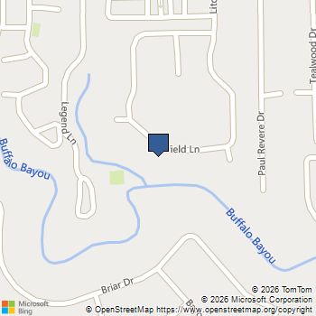 246 Litchfield Lane Houston, TX MLS# 77388849