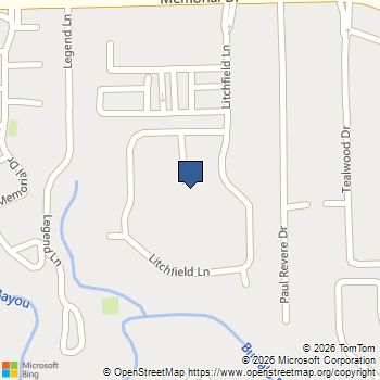 53 Litchfield Lane Houston, TX MLS# 75763065