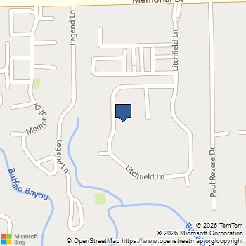 133 Litchfield Lane Houston, TX MLS# 62925342