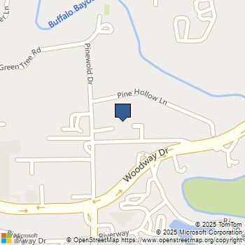 256 Post Oak Lane S Houston, TX MLS# 91018029