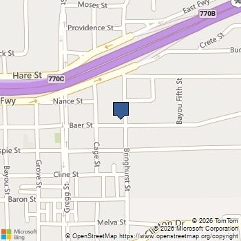 703 Bringhurst Street Houston, TX MLS# 68558024