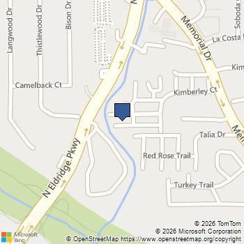 15167 Kimberley Ct 0041 Houston, TX MLS# 36920064