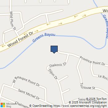 0 PROVINCE POINT DR Houston, TX MLS# 15579819