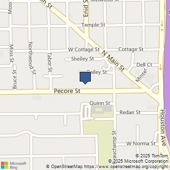 409 Pecore Street Houston, TX MLS# 457261