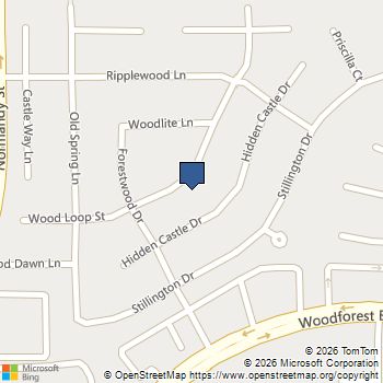 263 Wood Loop Street Houston, TX MLS# 32272240