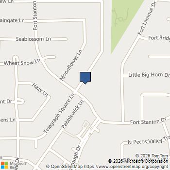 20067 Telegraph Square Lane Katy, TX MLS# 40411613