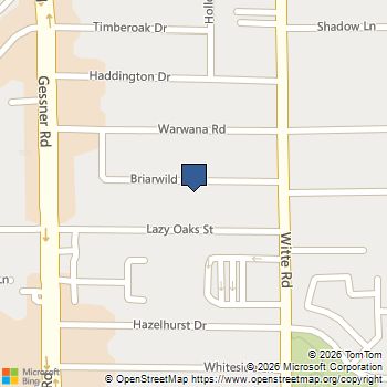 10031 Briarwild Lane Houston, TX MLS# 53874233