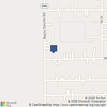 101 Matherne Drive Des Allemands, LA MLS# 2378085