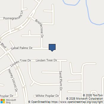20211 S Sabal Palms Drive Katy, TX MLS# 24367171