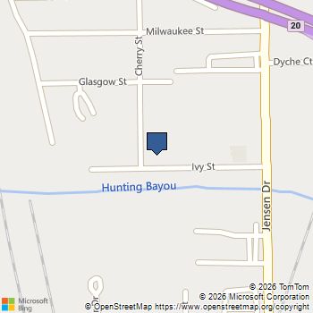 2609 Ivy Street Houston, TX MLS# 91098379