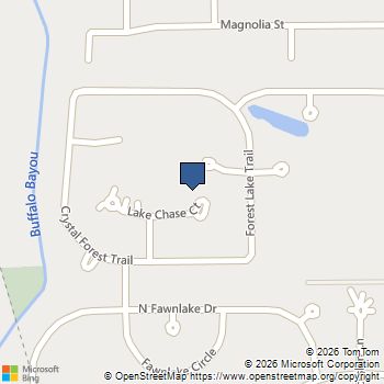 6202 Lake Chase Court Katy, TX MLS# 20293083