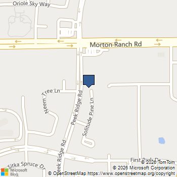 2939 Solitude Pine Lane Katy, TX MLS# 470721