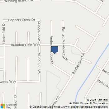 3226 Amber Meadow Drive Katy, TX MLS# 10794794