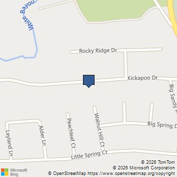 329 Kickapoo Drive Anahuac, TX MLS# 68688655