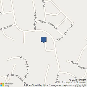 129 Balancing Laurel Dr San Marcos, TX MLS# 9690066