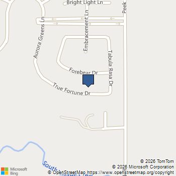 23034 True Fortune Drive Katy, TX MLS# 87476863