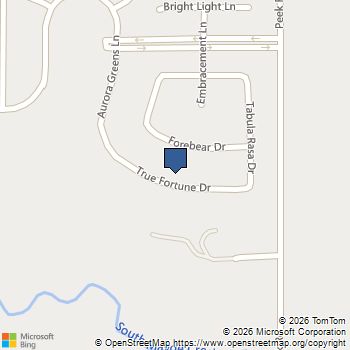 23054 True Fortune Drive Katy, TX MLS# 93000202