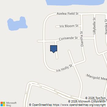 6019 Blue Pansy Street Katy, TX MLS# 82673587