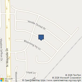 8124 Burnt Orchid Drive Houston, TX MLS# 88805988