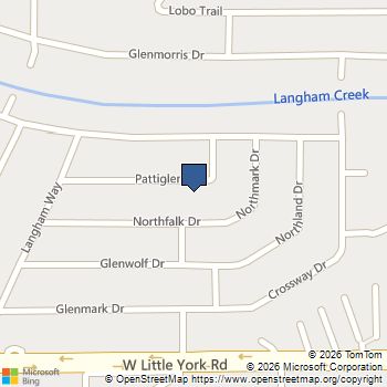 17539 Pattiglen Drive Houston, TX MLS# 20019926