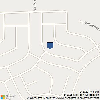 26811 Vanilla Pearls Lane Katy, TX MLS# 93300014