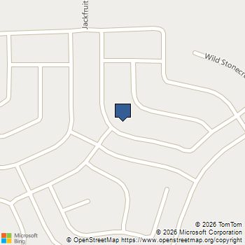 26831 Vanilla Pearls Lane Katy, TX MLS# 3043207