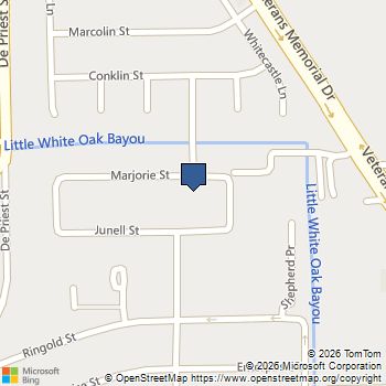 769 Marjorie Street Houston, TX MLS# 55935929