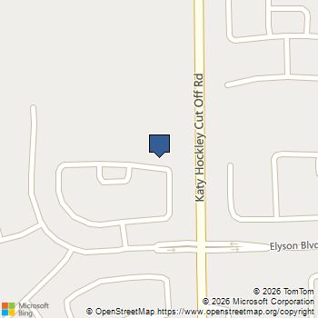 25006 Skyline Prairie Lane Katy, TX MLS# 94652654
